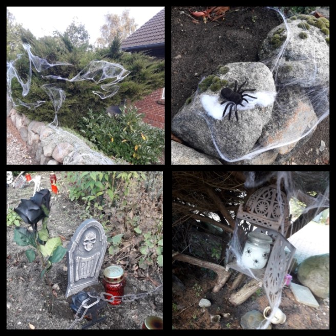 IMG_2018-10-29_17-31-56